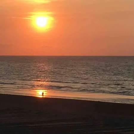 아파트 In St-idesbald With Sea View Balcony *