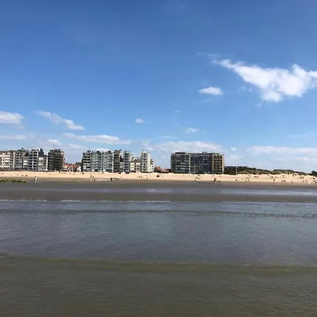 아파트 In St-idesbald With Sea View Balcony 코크시데