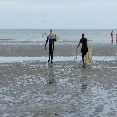 Apartment In St-idesbald With Sea View Balcony *